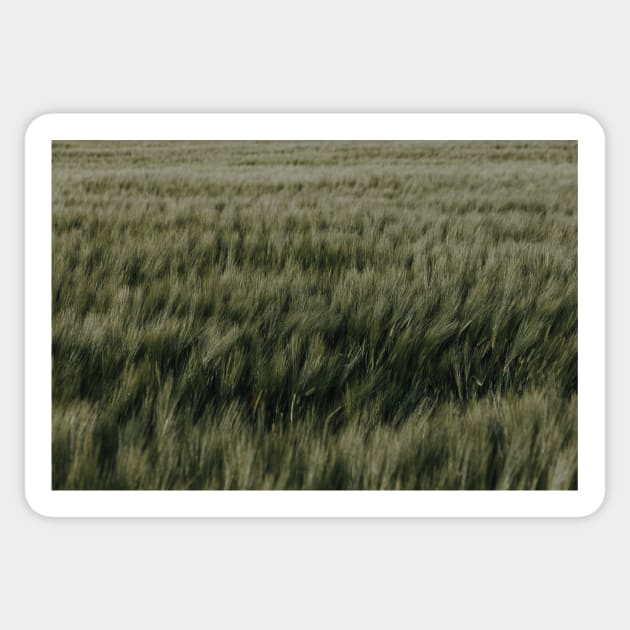 green grass Sticker by Pacesyte